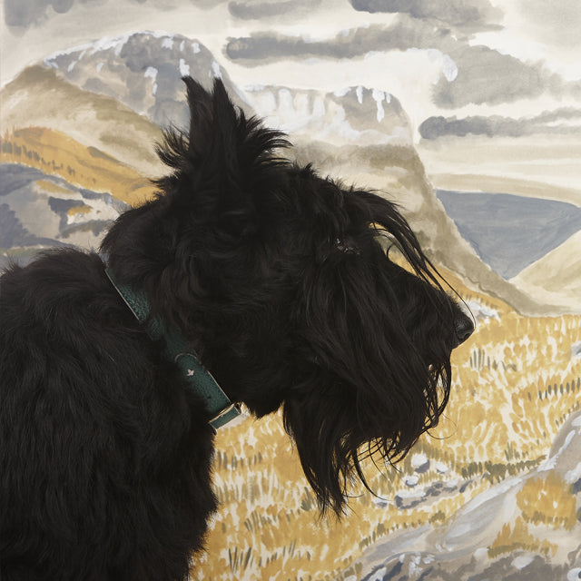 Σημαντικοί Σκωτσέζικοι Σκύλοι