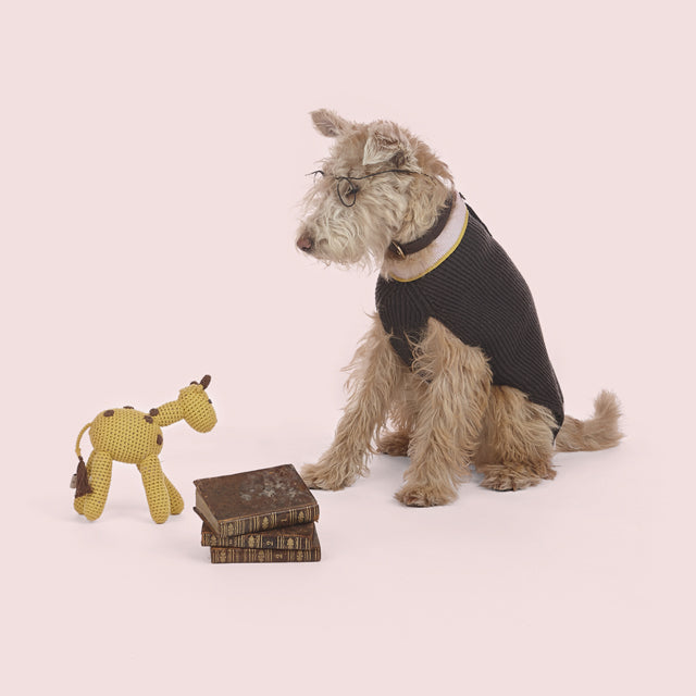 Συγγραφείς & Σκύλοι