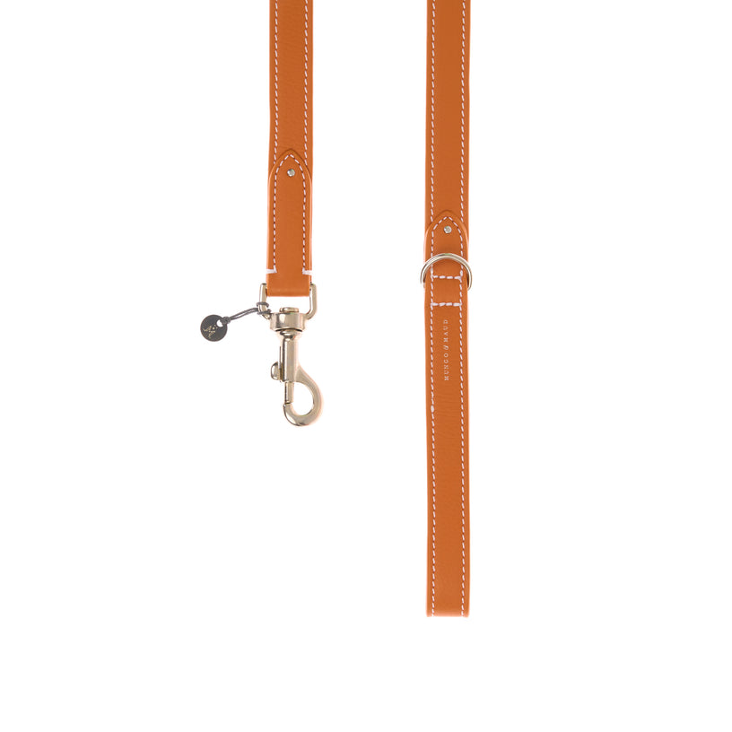 Oxford Dog Lead
