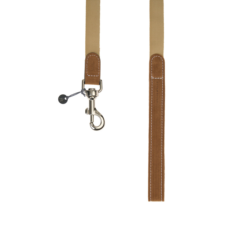Baseball Dog Lead
