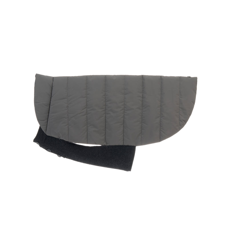Beetle Dog Coat