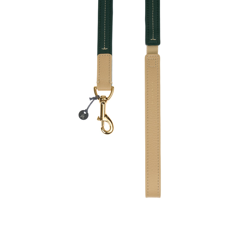 Bauhaus Dog Lead