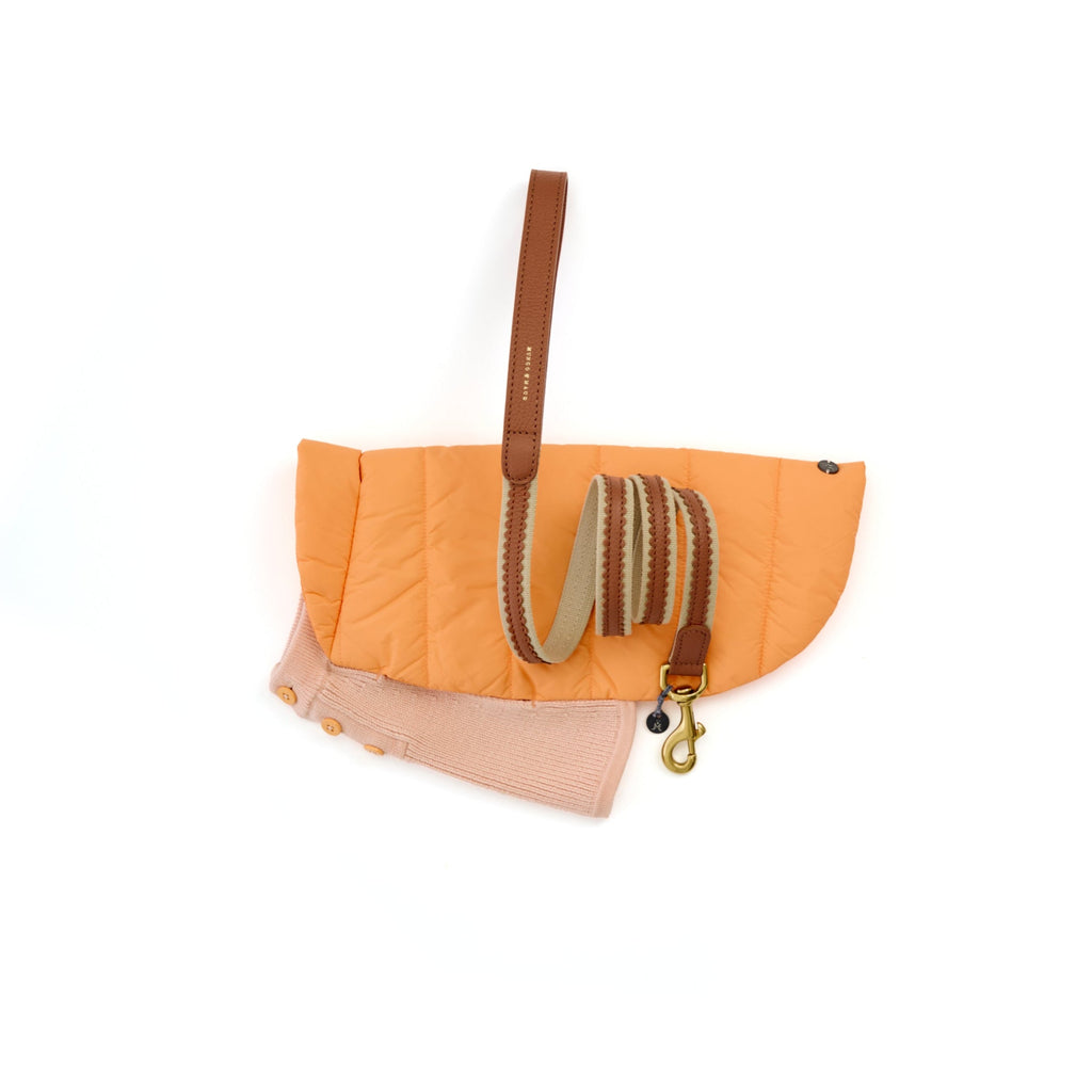 Mungo & Maud Luxury Dog & Cat Outfitters Bonbon Leather Dog Lead Brown Beetle Dog Coat Orange