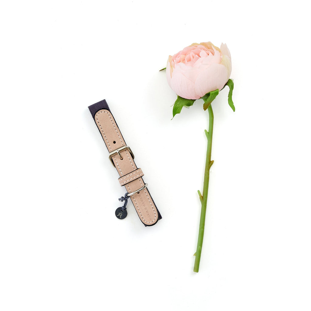 Mungo & Maud Luxury Dog & Cat Outfitters Baseball Cotton Suede Dog Collar Beige Grey