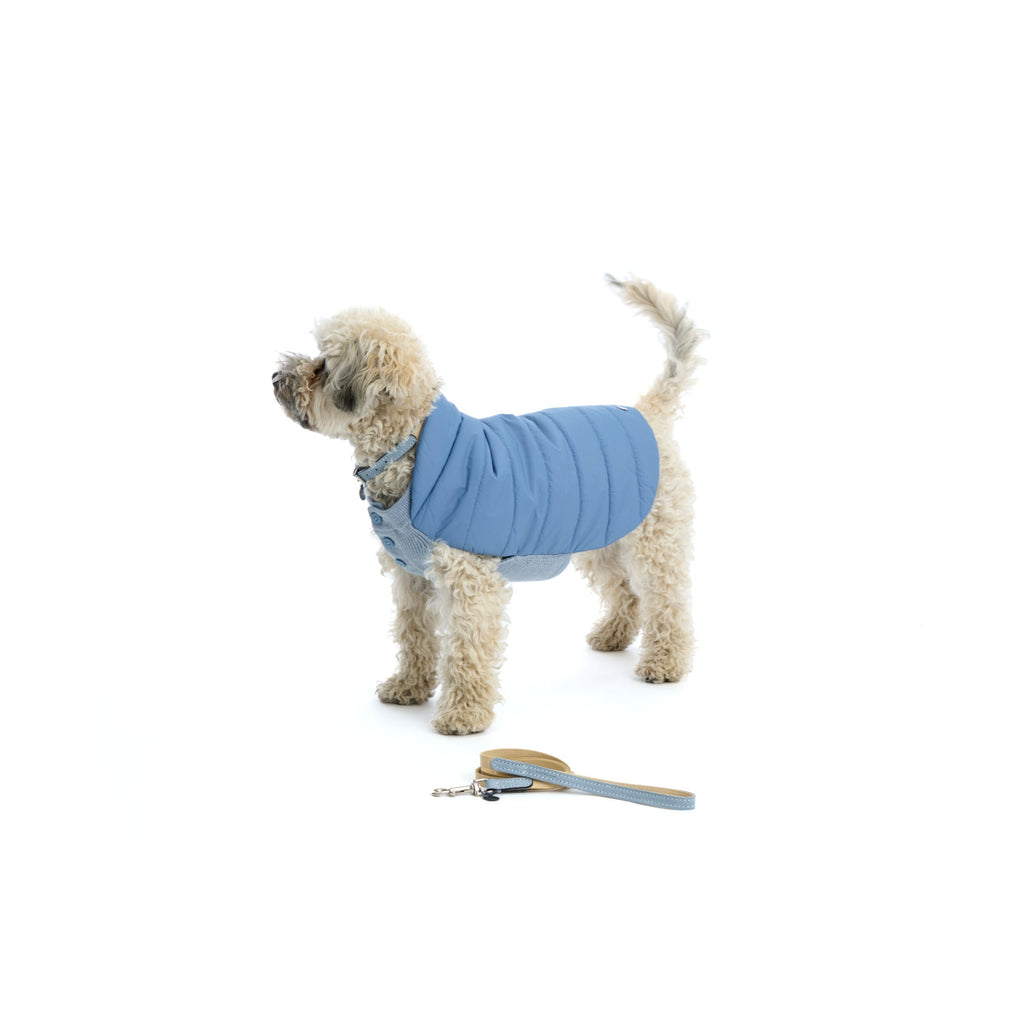 Mungo & Maud Luxury Dog & Cat Outfitters Baseball Cotton Suede Dog Lead Beige Blue Beetle Dog Coat Blue