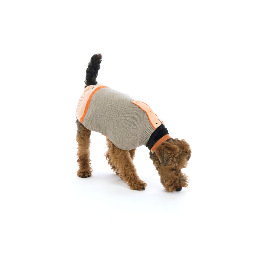 Mungo & Maud Luxury Dog & Cat Outfitters Obi Merino Cashmere Dog Pullover Beige Orange Bauhaus Leather Dog Collar Orange