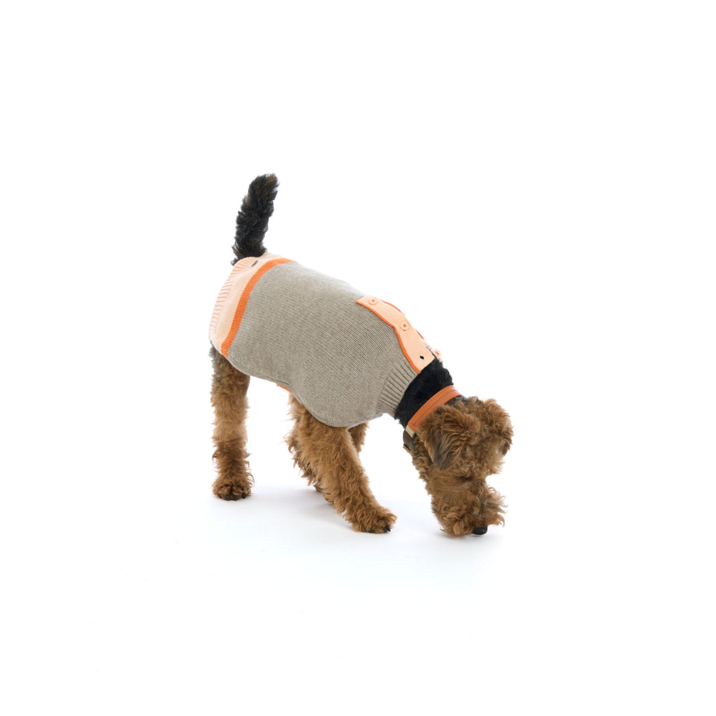 Mungo & Maud Luxury Dog & Cat Outfitters Bauhaus Leather Dog Collar Orange Brown Obi Merino Dog Pullover Beige Orange