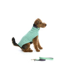 Mungo & Maud Luxury Dog & Cat Outfitters Baseball Cotton Suede Dog Collar Grey Green Cable Cashmere Dog Pullover Green