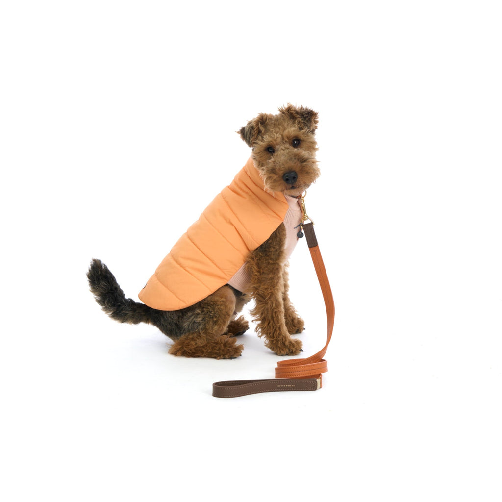 Mungo & Maud Luxury Dog & Cat Outfitters Beetle Dog Coat Orange Bauhaus Leather Dog Lead Orange Brown
