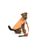 Mungo & Maud Luxury Dog & Cat Outfitters Bauhaus Leather Dog Lead Orange Brown