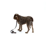 Mungo & Maud Luxury Dog & Cat Outfitters Torino Leather Dog Lead Black Pink