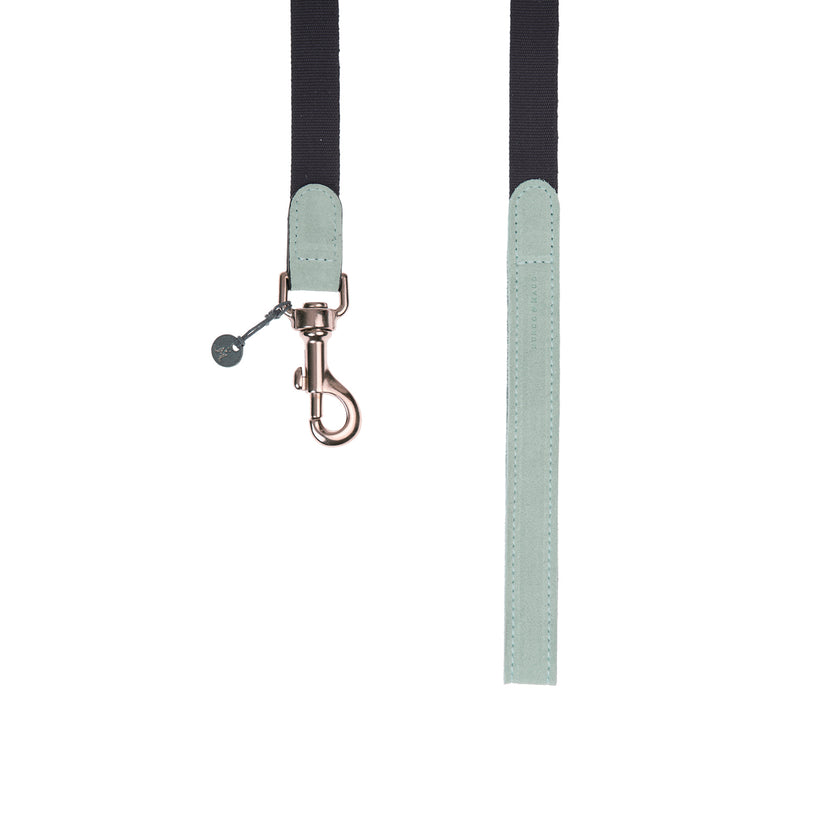 Baseball Dog Lead