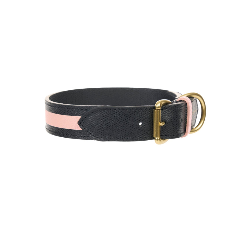 Torino Dog Collar