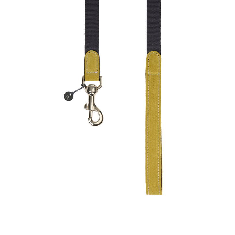 Baseball Dog Lead