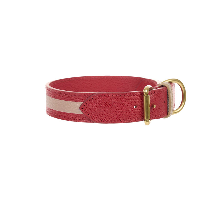 Torino Dog Collar