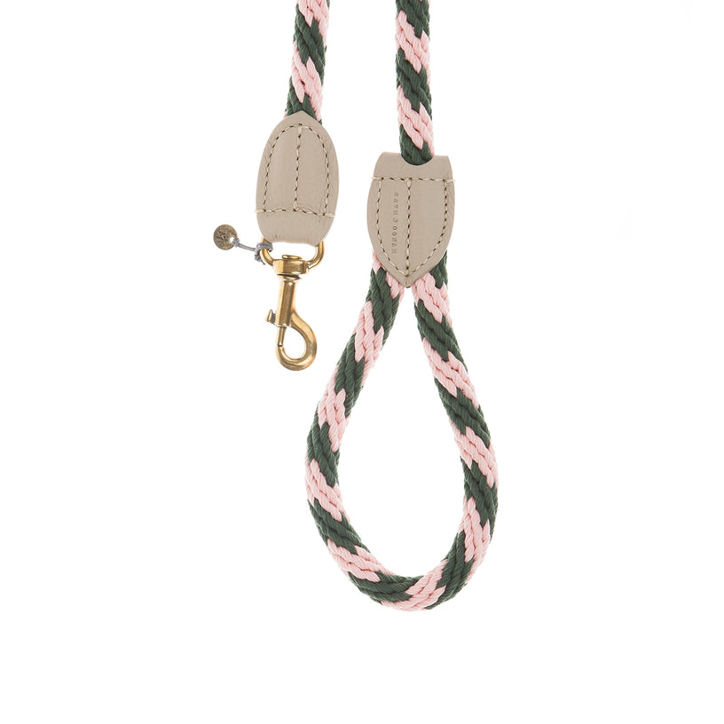 Rock Candy Rope Dog Lead